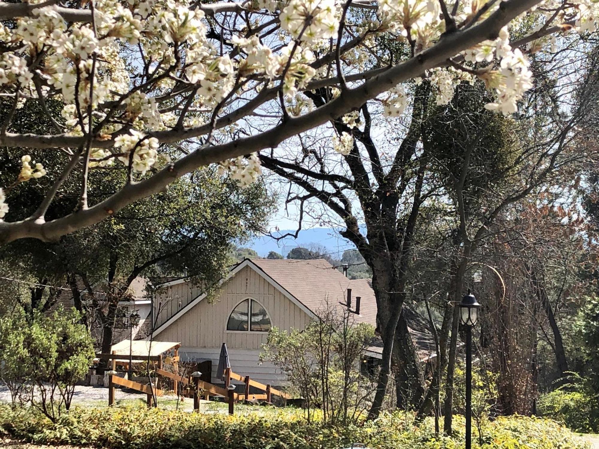 Sierra Mountain Lodge - Vacation Rentals - Yosemite オーウェニー エクステリア 写真